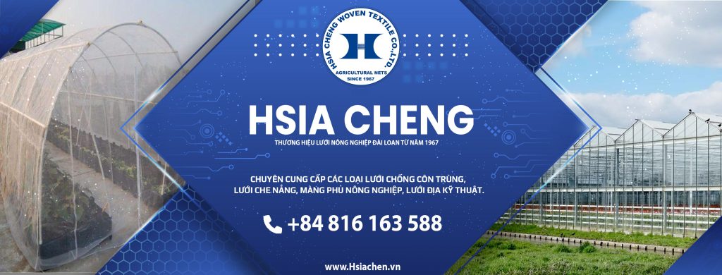 Hsia Cheng 