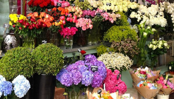 Shop hoa tươi Eve Flowers
