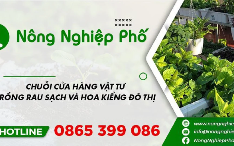 Nông nghiệp phố