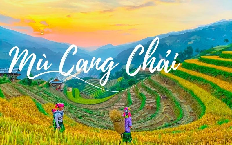 mù cang chải