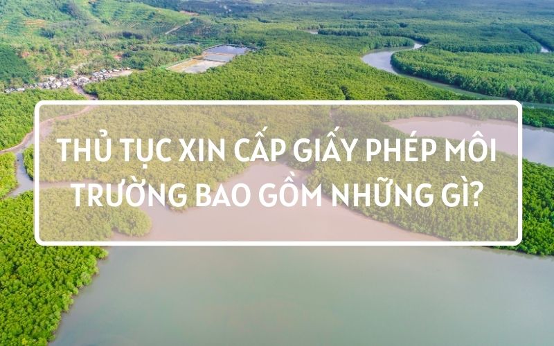 cấp giấy phép môi trường