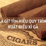 Xì Gà Là Gì? Tìm Hiểu Quy Trình Sản Xuất Điếu Xì Gà