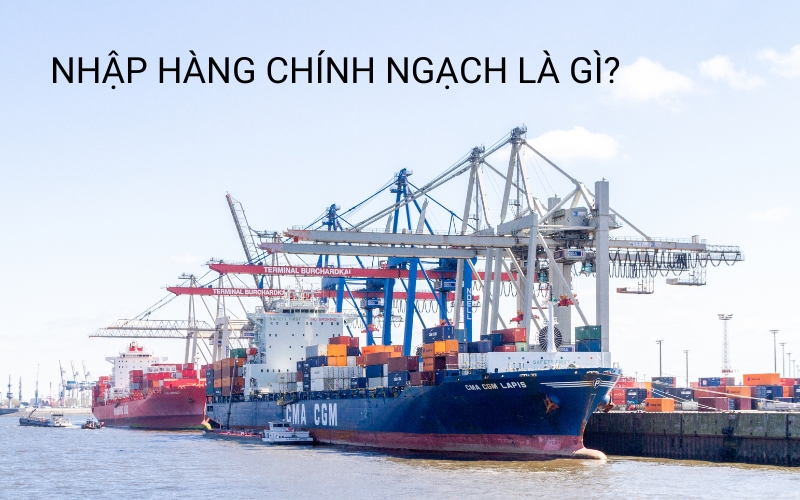 nhập khẩu chính ngạch