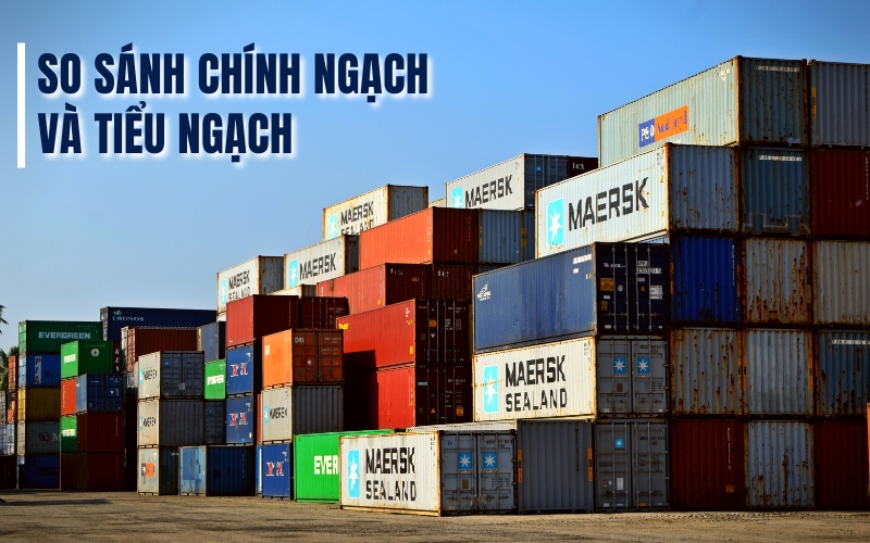 So sánh chính ngạch và tiểu ngạch