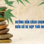 Hướng Dẫn Cách Chọn Biển Số Xe Hợp Tuổi Mới Nhất 2026