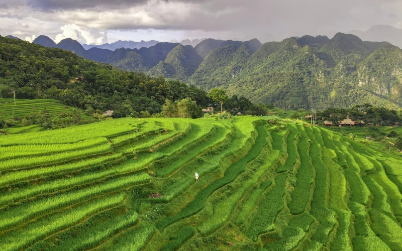 pù luông thanh hóa